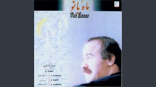 Shaneh Bar Zolf