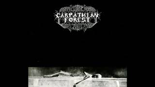 Watch Carpathian Forest Lunar Nights video