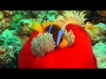 Relaxing Piano Music, Relaxing Music, Meditation, Piano Music, Sleep Music, Piano, Study, Calm ☯3570