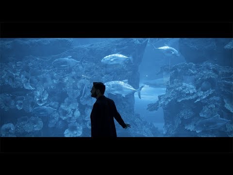Ho Fatto Un Sogno Video