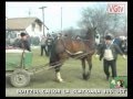Slătioara, Olt -Concursul cailor de Bobotează - Puternici și frumoși