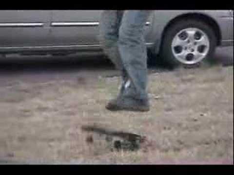 Scott skateboarding by djv8