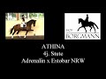 ATHINA --- Hof Borgmann --- Juni 2022