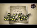 Heart Touching and Amazing Urdu Quotes Collection - Aqwal e Zareen