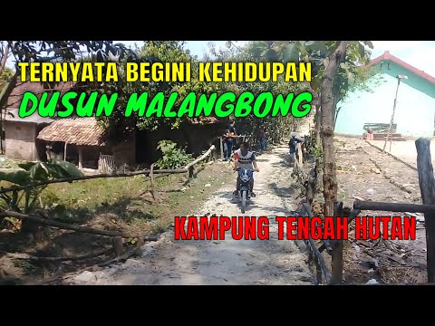 Berkunjung ke kampung di tengah hutan malangbong kedungadem bojonegoro suasana tenang damai