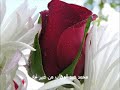 محمد عبد الوهاب من غير ليه