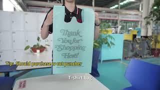 Zxl-E800 Customization Non Woven Bag Making Machine