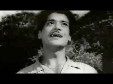 Chal Ud Jare Panchhi - Mohammed Rafi Bhabhi Song 1