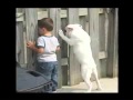 FOTOS Animale si oameni
