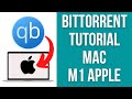 How To Download Torrents On A Mac - qBittorrent 2022 Magnet Link Tutorial