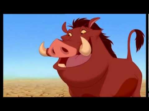 Hakuna Matata français (le roi lion)