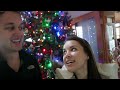 The Great Christmas Tree Hunt! ❄ Vlogmas 20, 2012