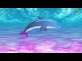 8 Reasons to Never See a Dolphin Show Again