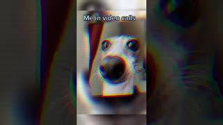 Meme