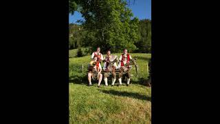 Alpenspektakel - Flottes Blechgeflüster (Tenorhornsolo)