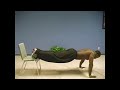 fitness training