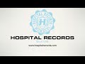 High Contrast - Pink Flamingos