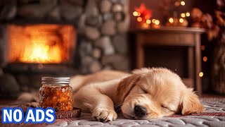 Dog Relaxation Music Calming Dog Music Deep Sleep & Anxiety Relief For Puppies No Ads