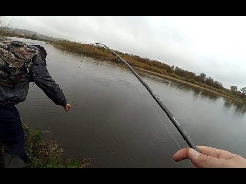 бабье лето рыбалка бабье летига рыбалка