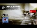 Wallace Roney - Blue In Green - More of the Most Romantic Jazz Music in the Universe