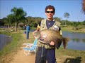 Video de Alan pescando pacu / tambacu de 10 kg |pesqueiro maeda|
