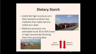 Dietary Impacts On Enteric Methane Production