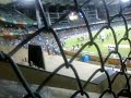 Virat kohli abusing the spectators