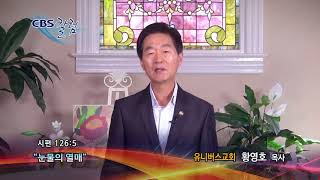 눈물의 열매