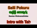 Sinhala Guitar Lessons | Salli Pokuru | Damian Wickramathilaka
