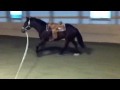 The Horse And His Rider Video preview
