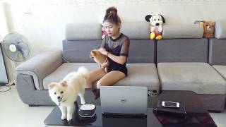 Beautiful girl with smart Puppies   How to Play with Smart Puppy at home