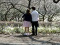あなたのすべてを / 佐々木勉さん
