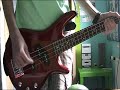 The Donots - Saccharine Smile Bass Cover