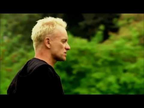 The Lowest Trees Have Tops Video