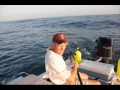 How To Catch a Kingfish