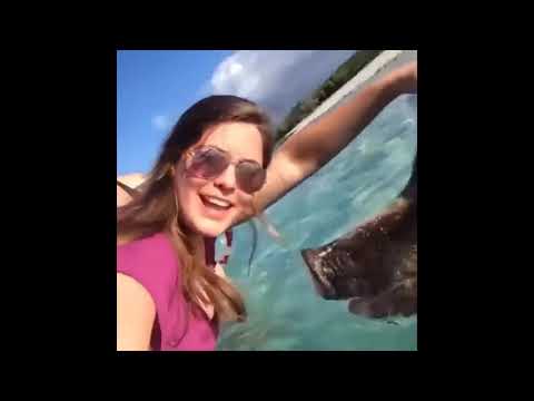 Funny Animals That Will Bring A Smile To Your Face Every Day 4/9