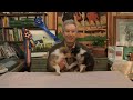 On With The Show!S1E1