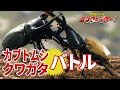 【公式】カブトムシ・クワガタムシの甲虫バトル ムシファ�