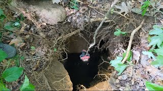Camera Lowered Into Unexplored Mineshaft
