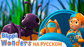 Муравьи🐜🐜 | Чудеса Блиппи | Обучающие Мультики Для Детей