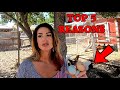 Top 5 Reasons Why You Need Chickens On A Homestead