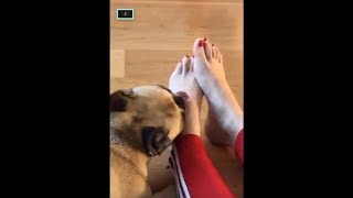 Matilda Lecca I Piedi Di Chiara Ferragni