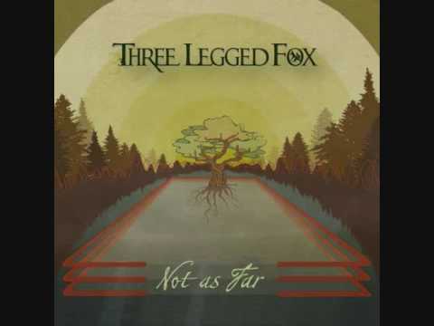 Three Legged Fox - Maybe Im Sorry | ReggaeRock Music