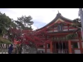 紅葉八幡宮　(Mentai Video Sketch)