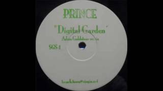 Watch Prince Digital Garden video