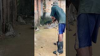 Watch This Video To Discover How To Capture Crocodiles