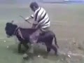 VIDEOS DE AUTOS QUEMANDO GOMA videos de autos quemando goma: