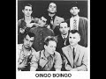 oingo