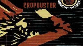 Video Cropduster Pearl Jam