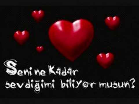 Senden Allah Razı Olsun
Şimdi sorucaksın neden
Sormana bile gerek yok
Benim hayat tecrübem Senden Allah Razı Olsun
Şimdi sorucaksın neden
Sormana bile gerek yok
Benim hayat tecrübem
